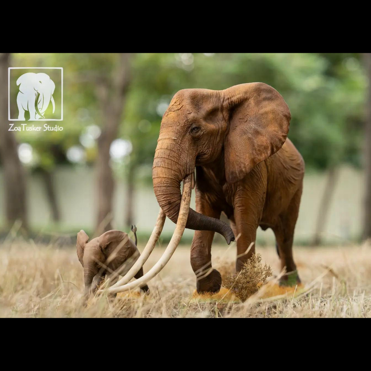 AFRICAN ELEPHANT (LOXODONTA AFRICANA) MULTI-SCALE FLAGSHIP DIORAMA STATUE (RESIN KIT / PAINTED EDITION)