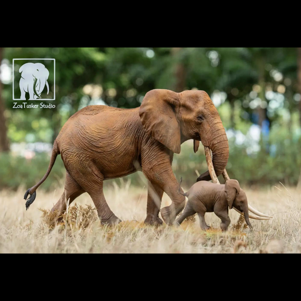 AFRICAN ELEPHANT (LOXODONTA AFRICANA) MULTI-SCALE FLAGSHIP DIORAMA STATUE (RESIN KIT / PAINTED EDITION)