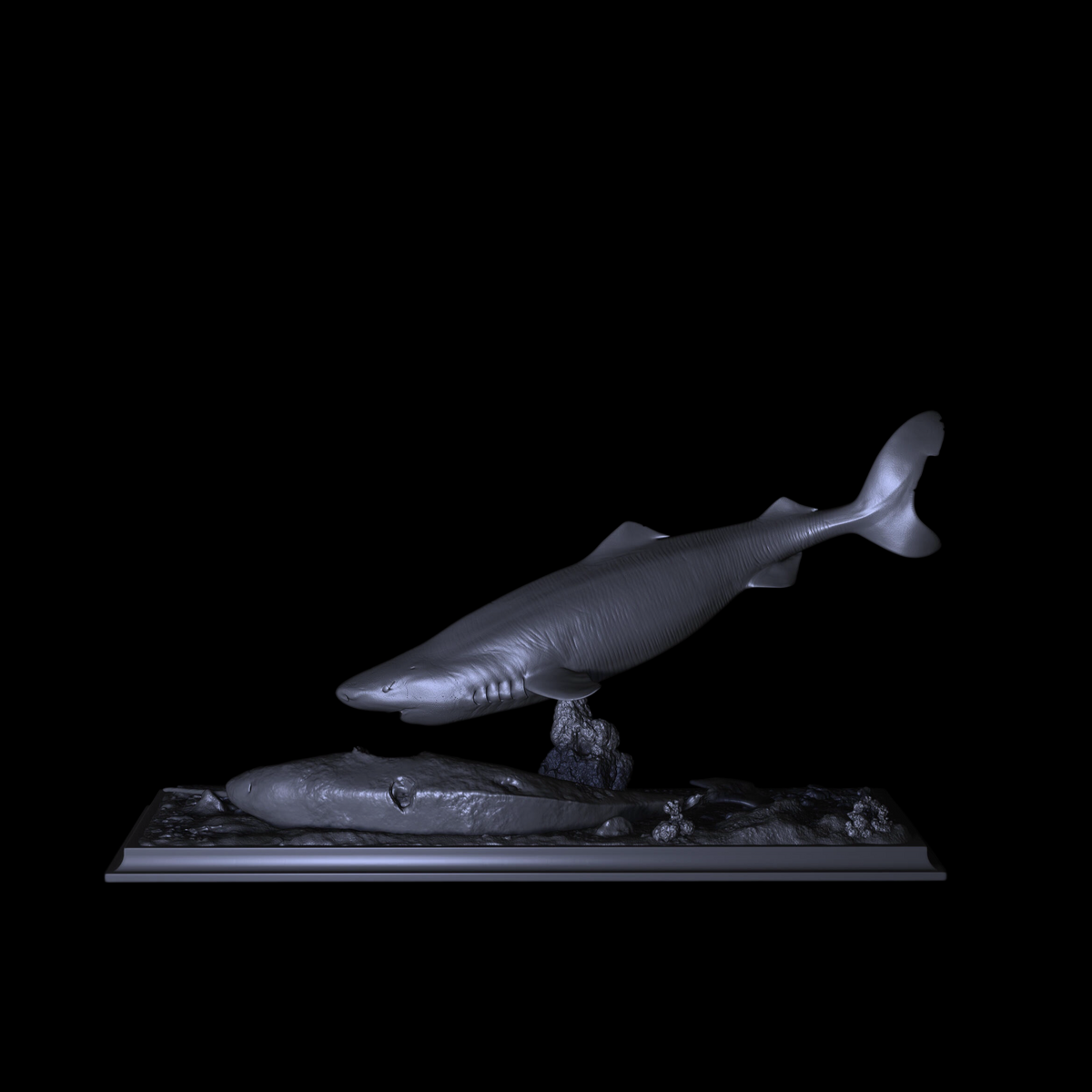 GREENLAND SHARK PALEOART STATUE (RESIN KIT / PAINTED EDITION) APHID STUDIO