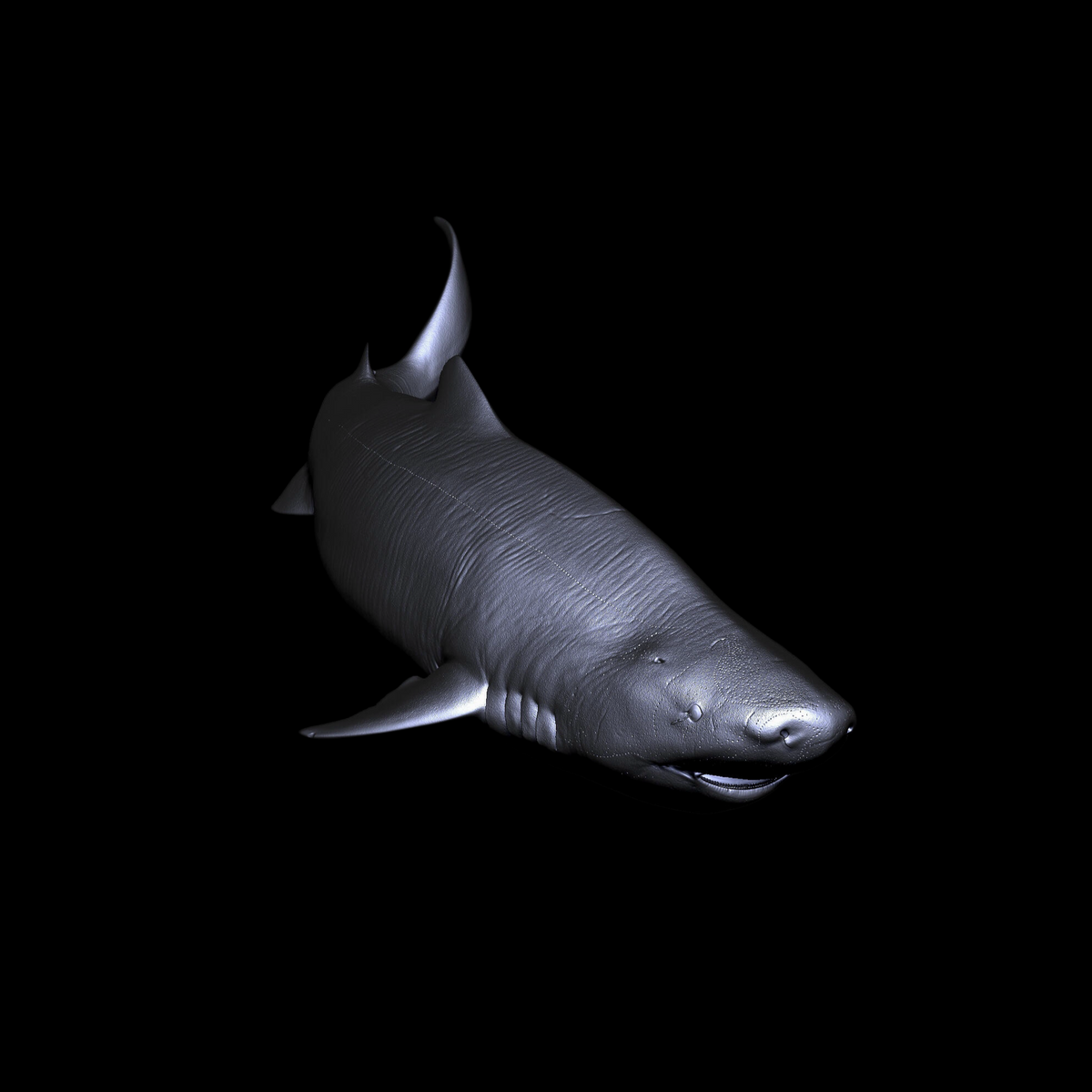 GREENLAND SHARK PALEOART STATUE (RESIN KIT / PAINTED EDITION) APHID STUDIO