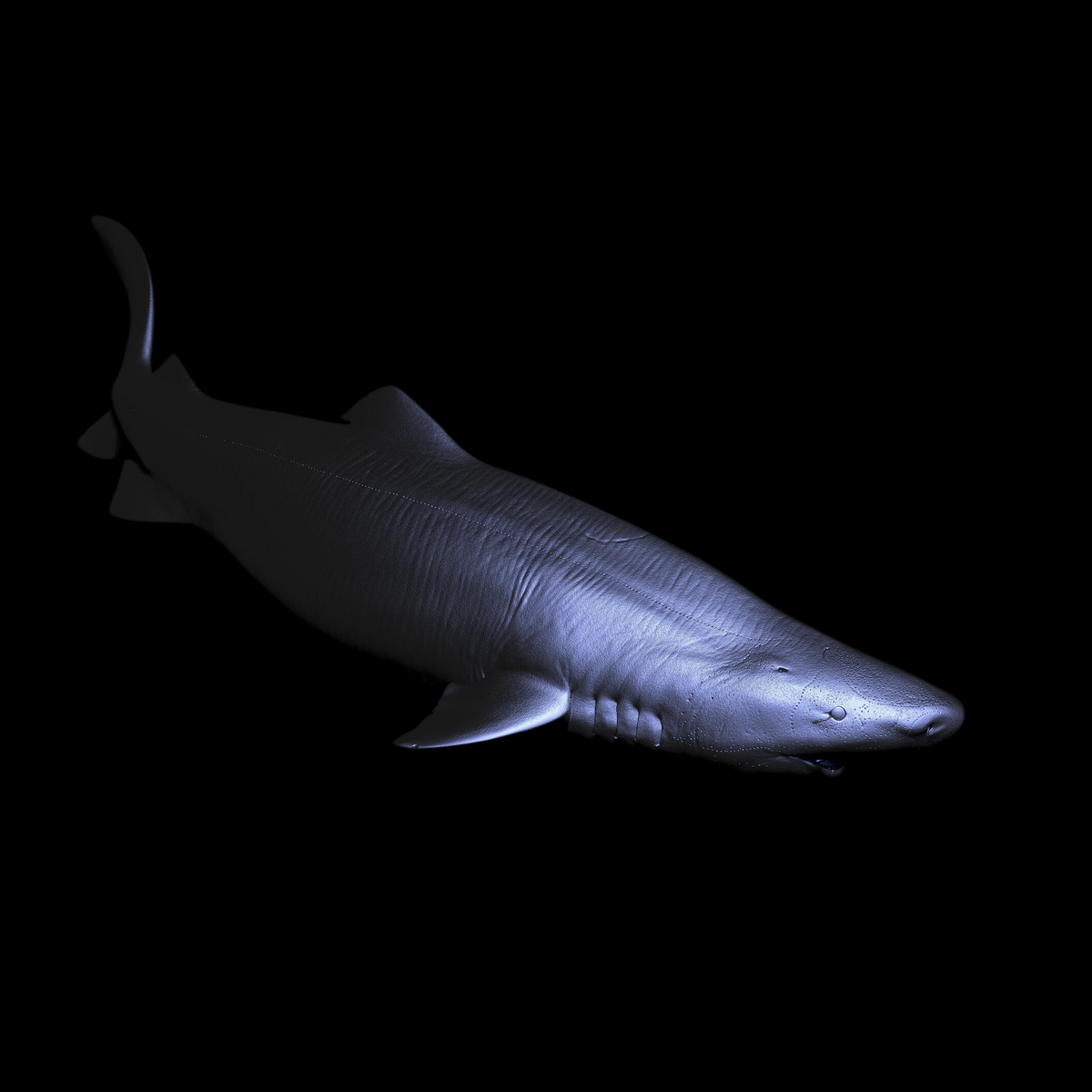 GREENLAND SHARK PALEOART STATUE (RESIN KIT / PAINTED EDITION) APHID STUDIO