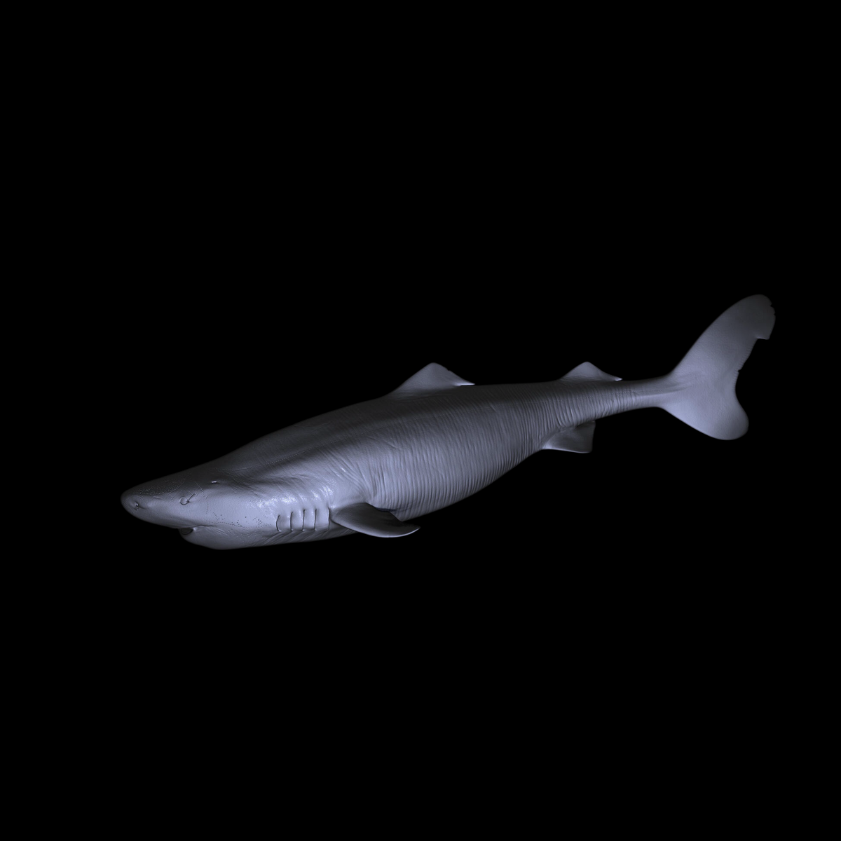 GREENLAND SHARK PALEOART STATUE (RESIN KIT / PAINTED EDITION) APHID STUDIO