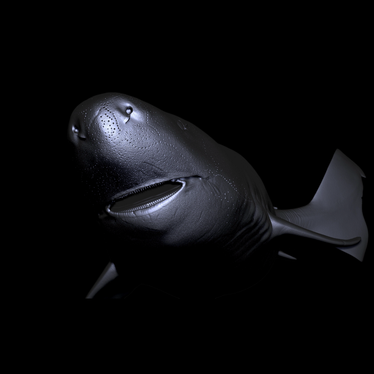 GREENLAND SHARK PALEOART STATUE (RESIN KIT / PAINTED EDITION) APHID STUDIO