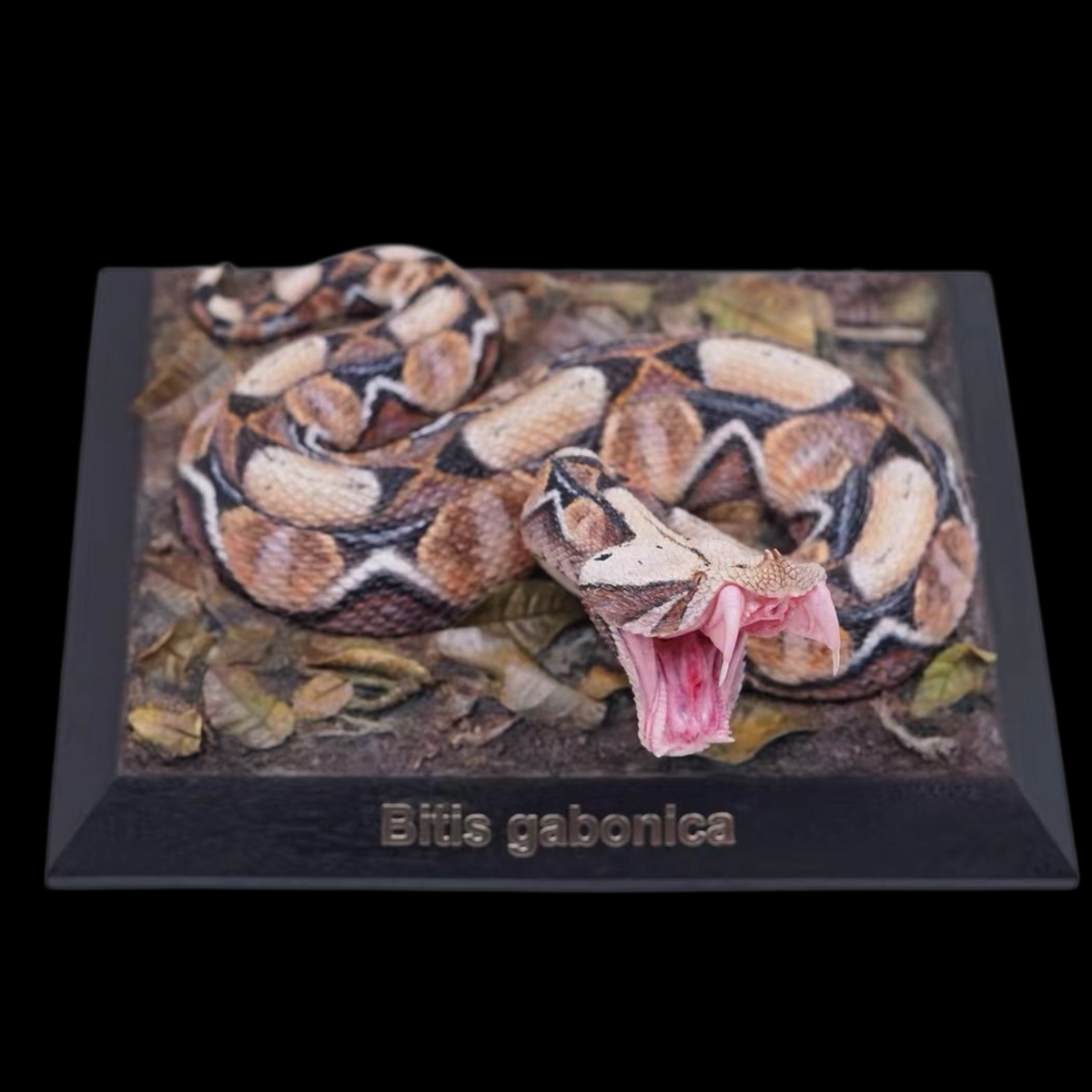 BITIS GABONICA 1:3 ART STATUE (RESIN KIT / PAINTED EDITION) — PRESENTED BY BALI STUDIO