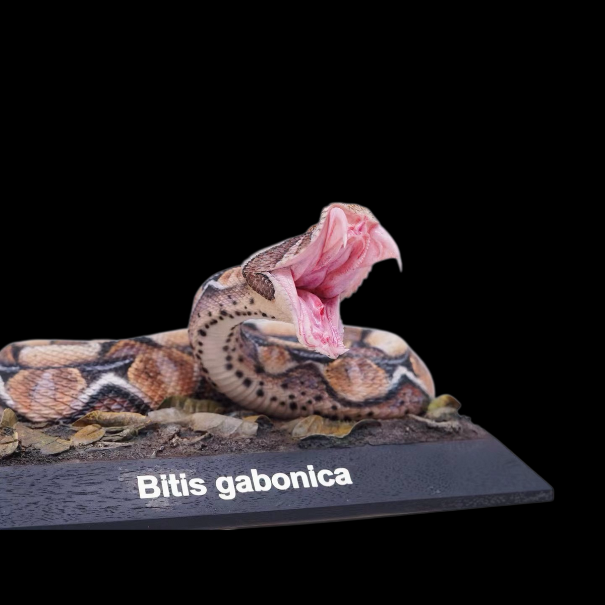 BITIS GABONICA 1:3 ART STATUE (RESIN KIT / PAINTED EDITION) — PRESENTED BY BALI STUDIO