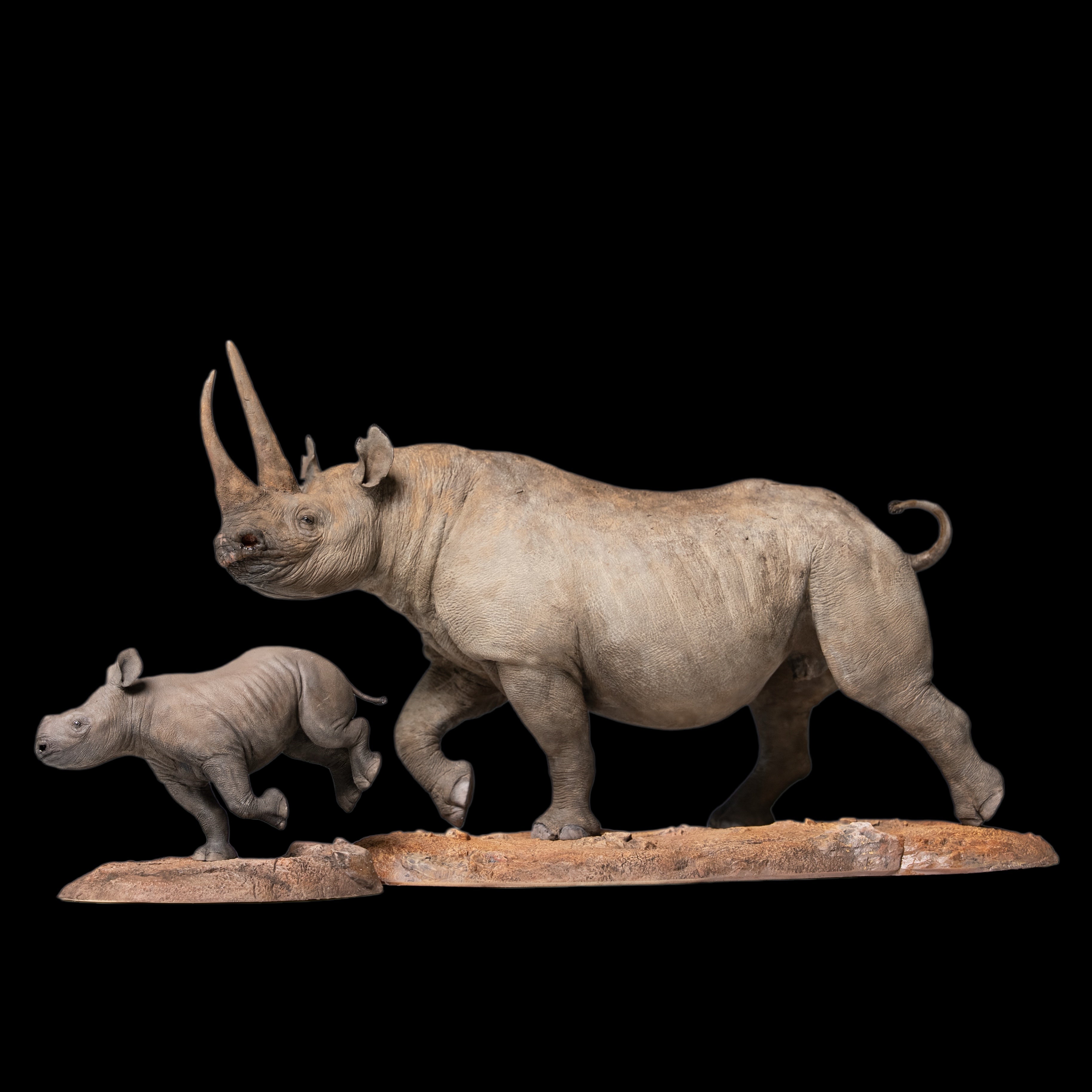 Black Rhinoceros (Diceros bicornis)  statue Model Kit 1:35 1:18 1:15 1:10 1:6 Scale