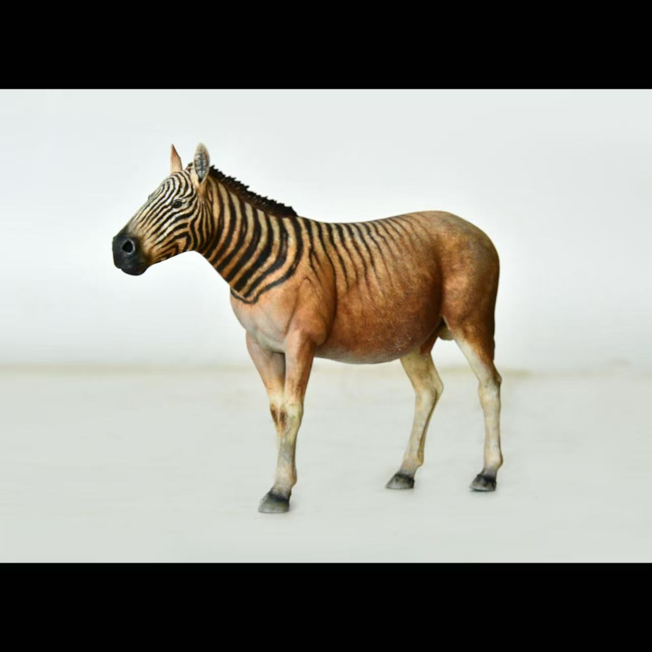 Quagga statue Model Kit 1:35 1:15 1:10 Scale Tall Rhino Studio