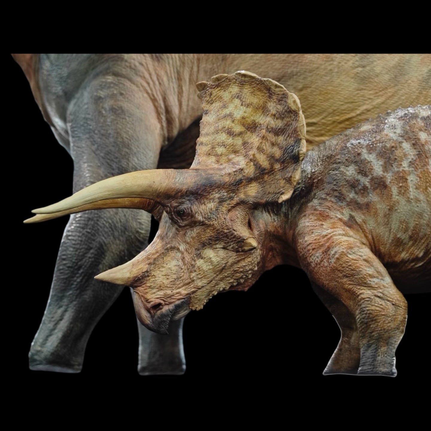 Triceratops statue Model Kit 1:35 Scale Carson Long Studio