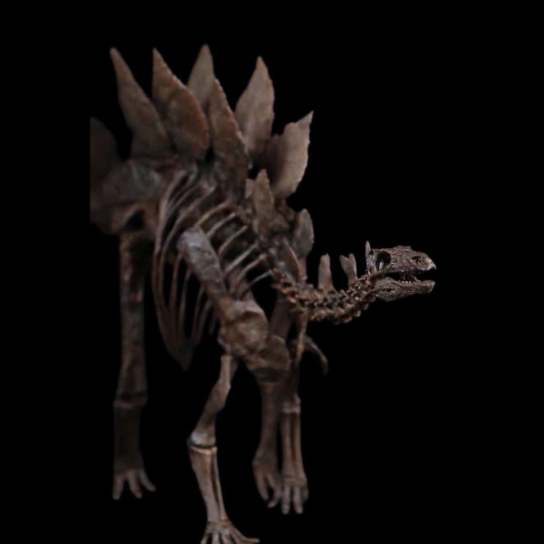 STEGOSAURUS SKELETON 1:10 MUSEUM-GRADE FOSSIL SKELETON PAINTED EDITION
