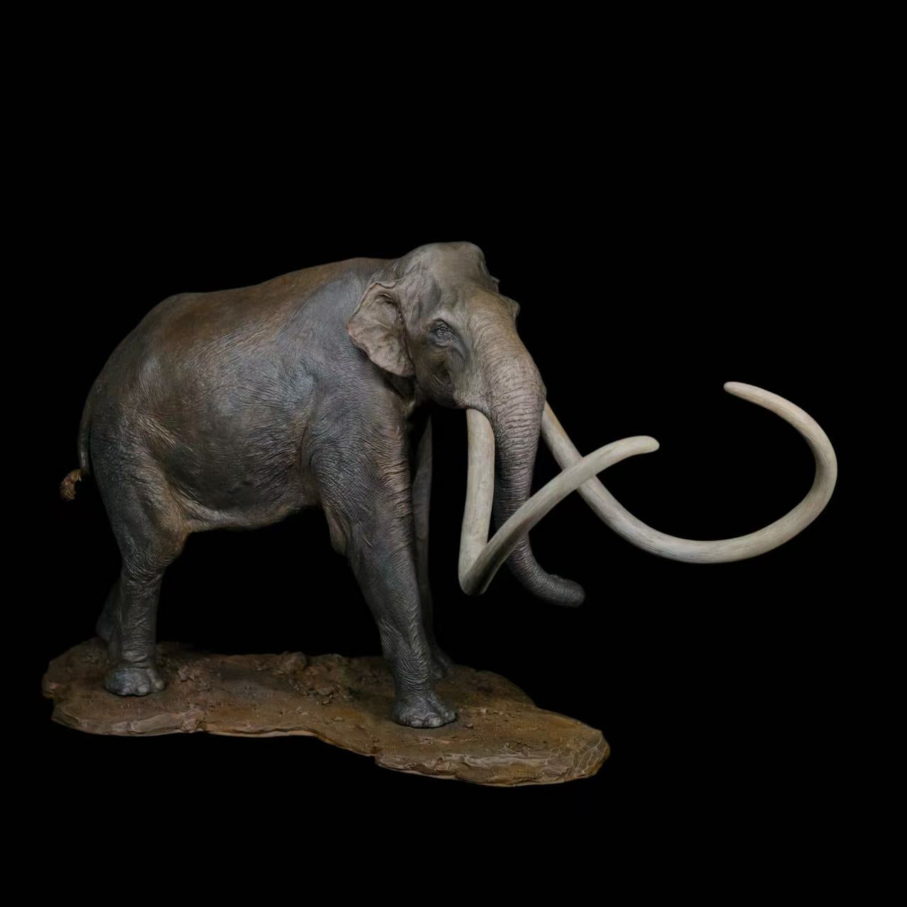 Columbian Mammoth statue Model Kit 1:18 Scale Dinosoul Studio