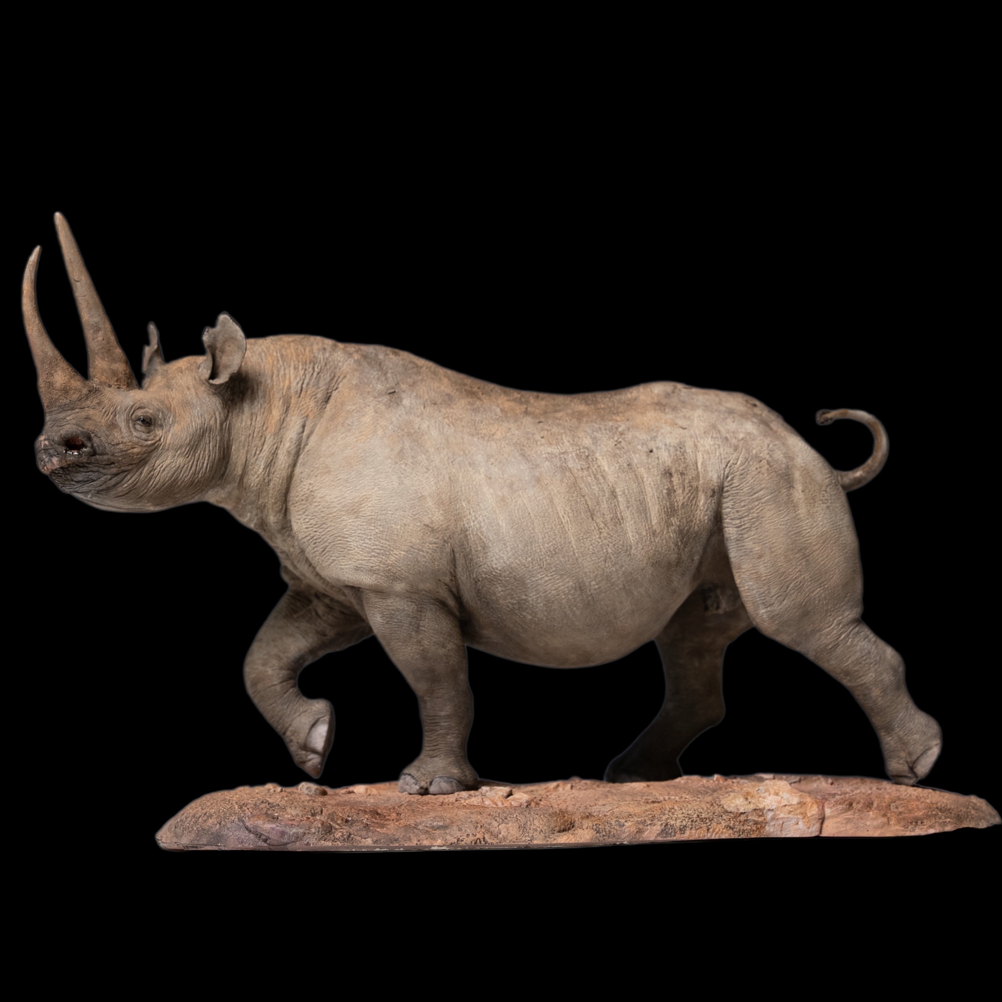 Black Rhinoceros (Diceros bicornis)  statue Model Kit 1:35 1:18 1:15 1:10 1:6 Scale
