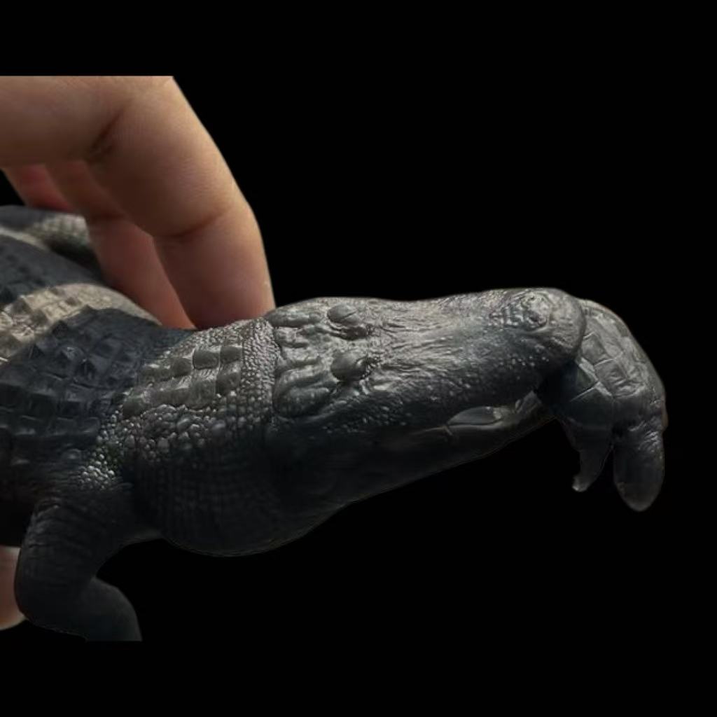 Alligator statue Model Kit The crocs man Studio