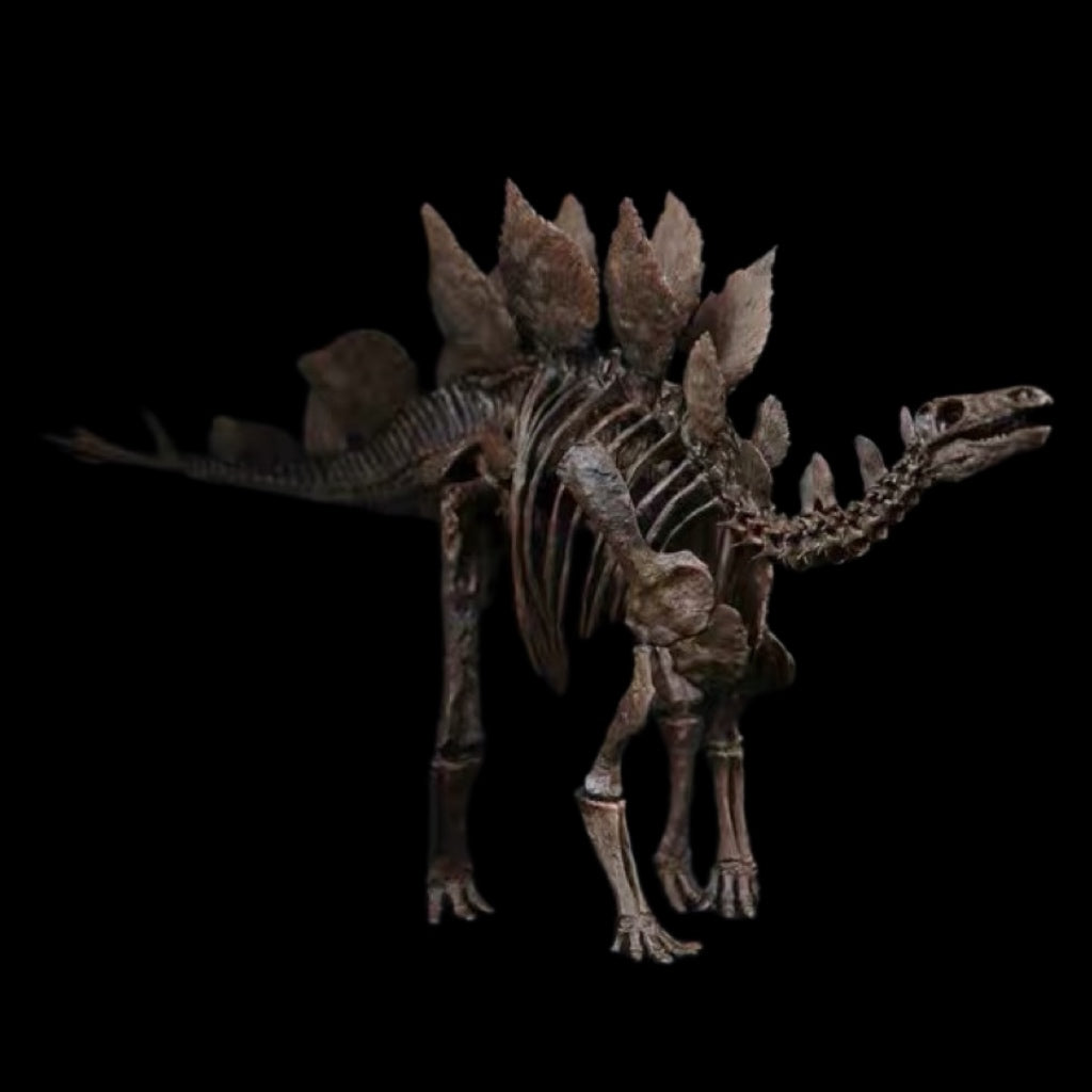 STEGOSAURUS SKELETON 1:10 MUSEUM-GRADE FOSSIL SKELETON PAINTED EDITION