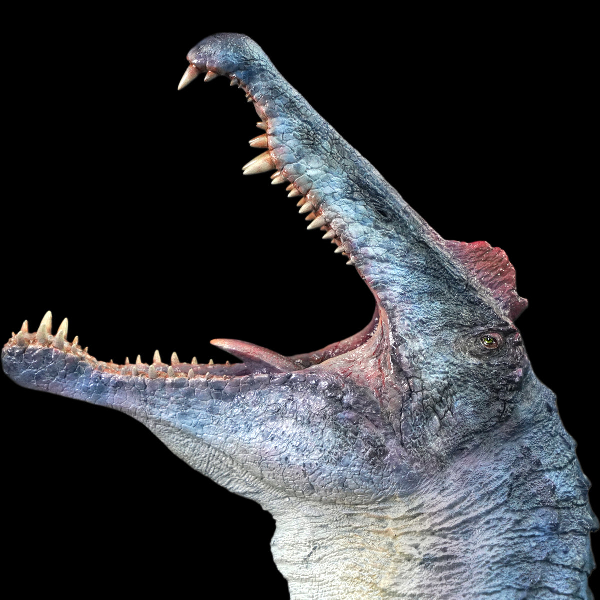 Giganotosaurus vs Spinosaurus statue Model Kit 1:15 Scale Showanna Studio