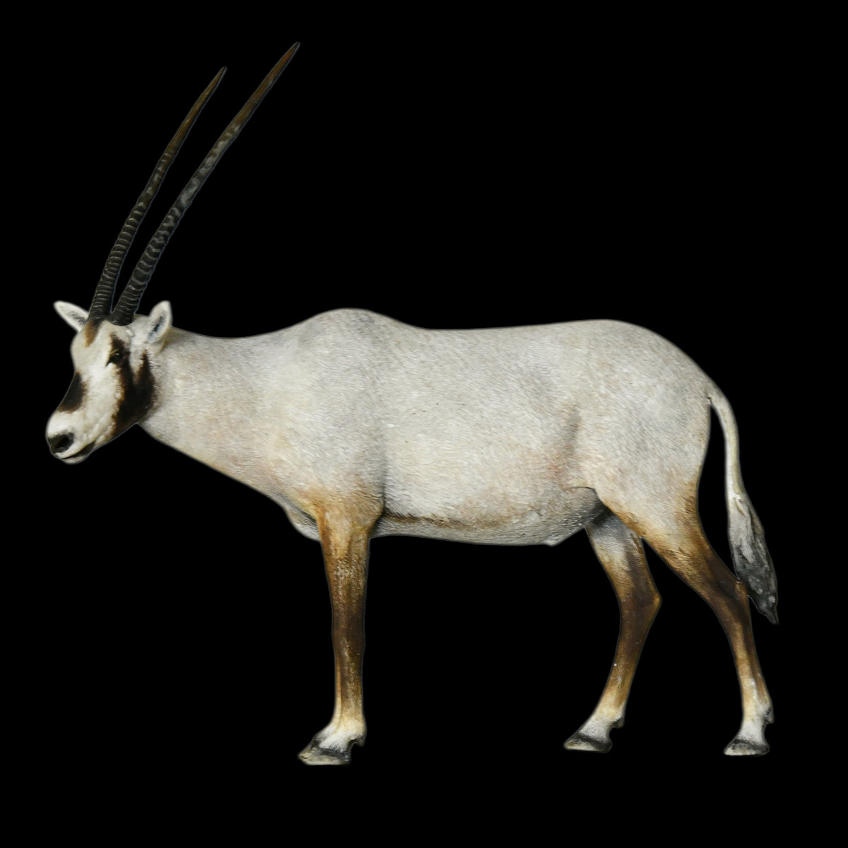 ARABIAN ORYX MUSEUM-GRADE STATUE (1:35 / 1:15 / 1:10 SCALES AVAILABLE | GREY RESIN KIT / PAINTED EDITION)