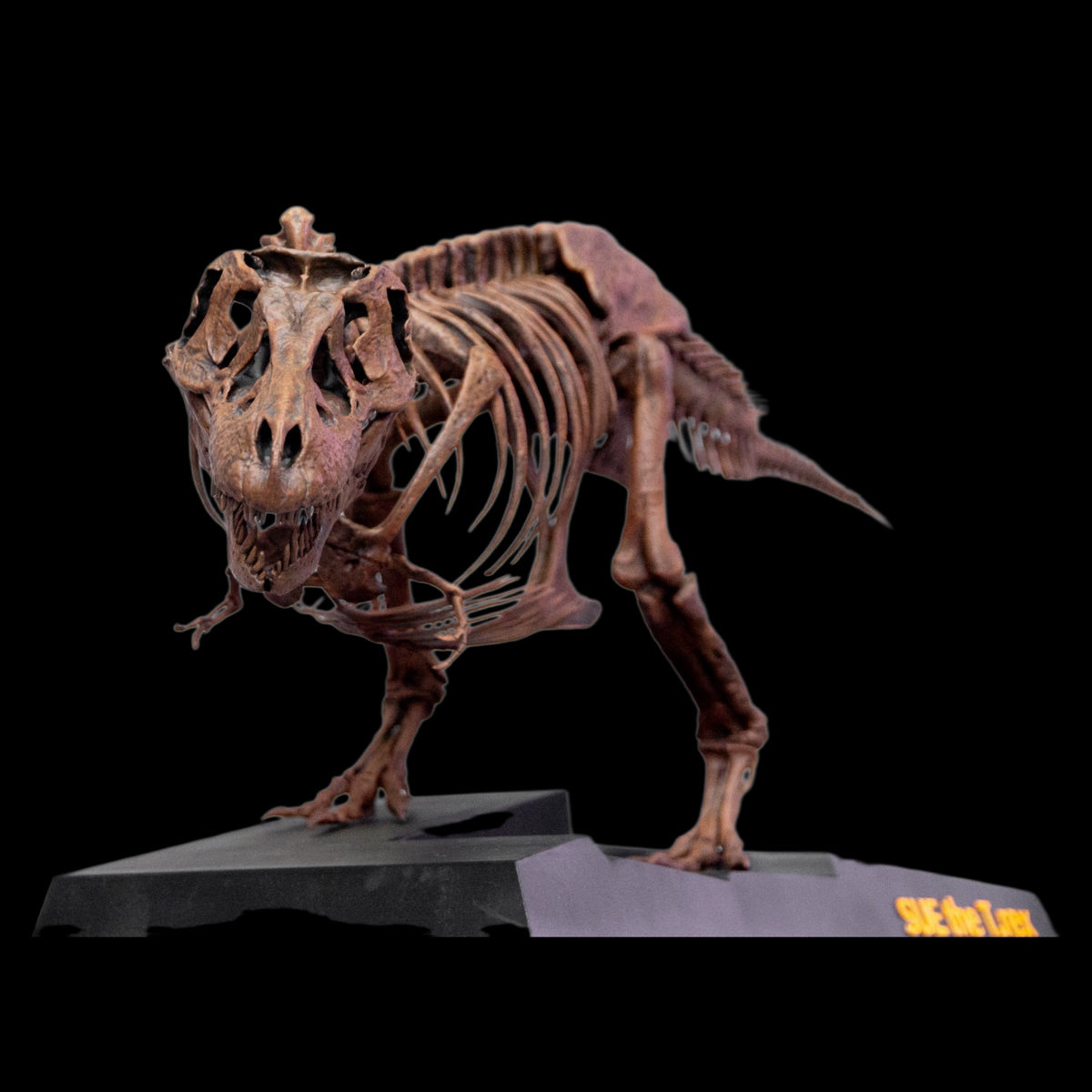 TYRANNOSAURUS REX "SUE" 1:18 FOSSIL SKELETON STATUE Daxiong Studio
