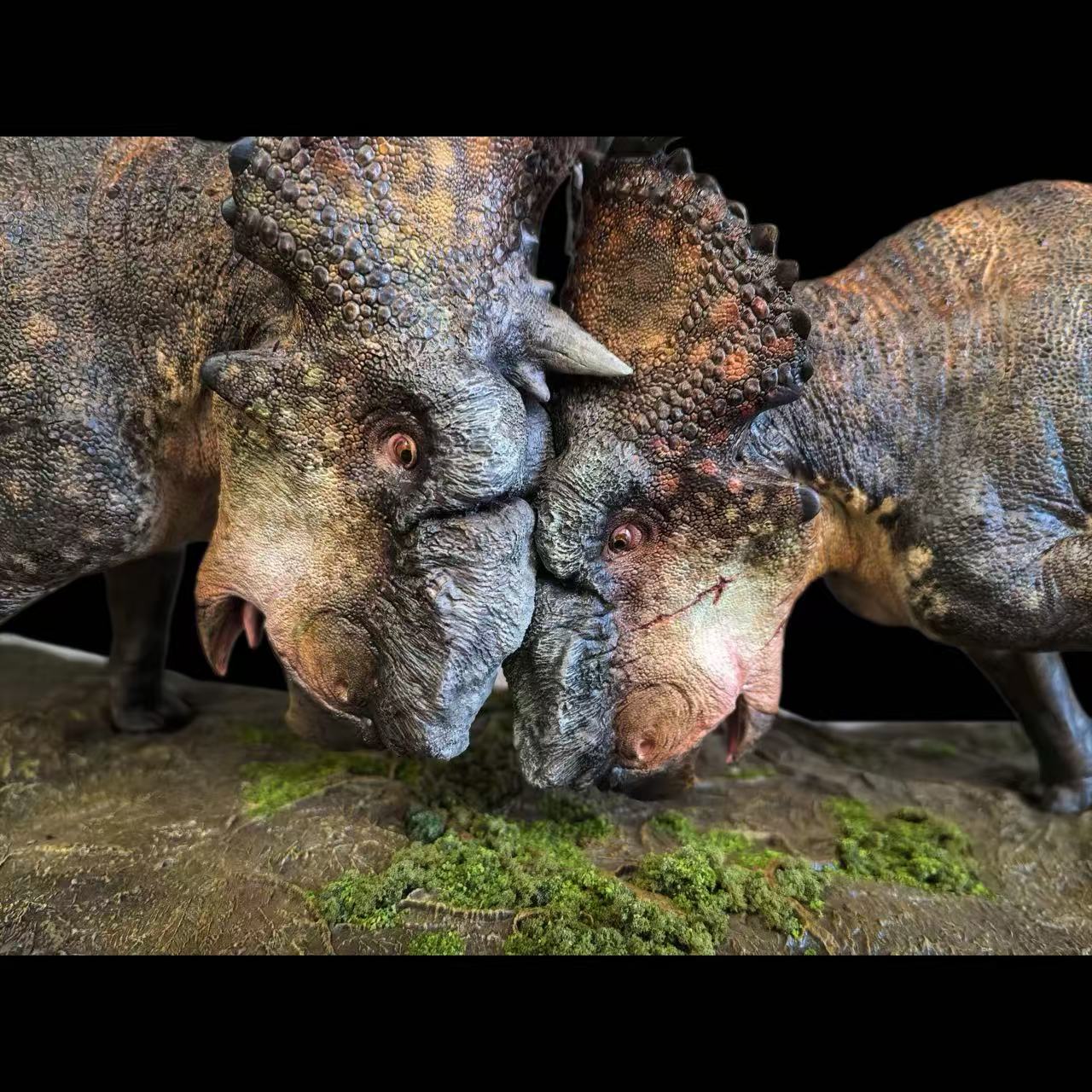 Pachyrhinosaurus statue Model Kit 1:35 1:20 Scale Dinosoul Studio