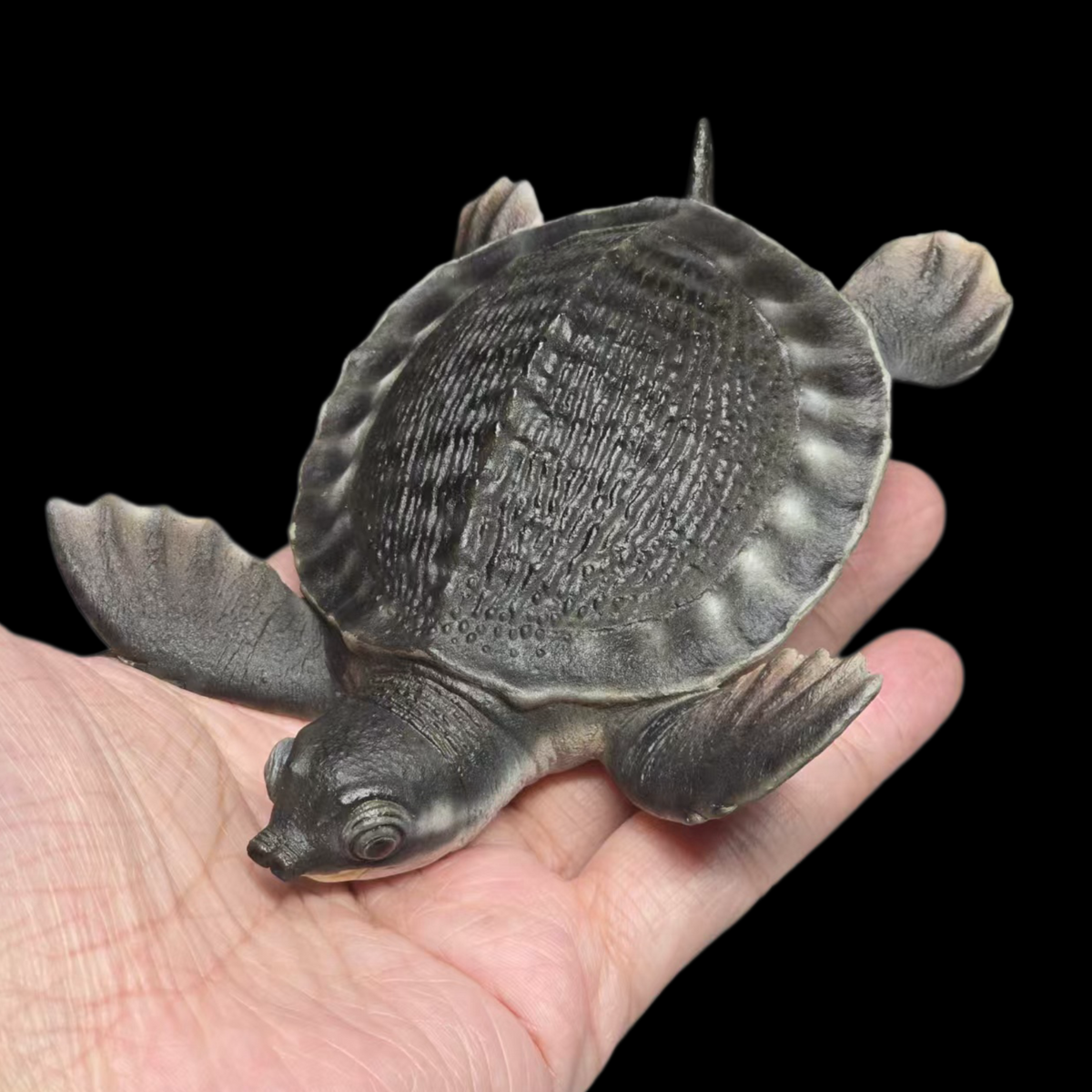 PIG-NOSED TURTLE MUSEUM-GRADE STATUE (GREY RESIN KIT / PAINTED EDITION)