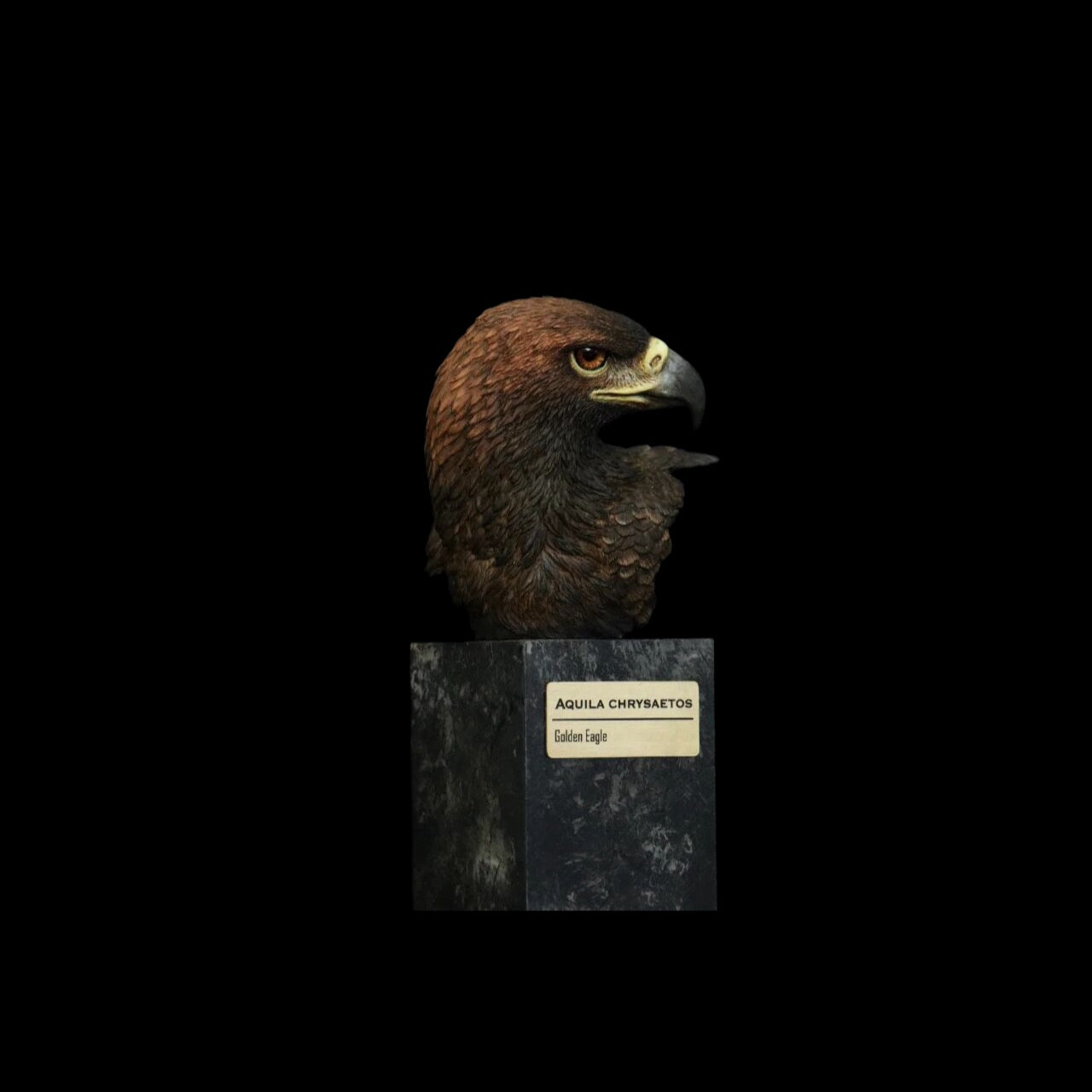 GOLDEN EAGLE · YUNNAN SNUB-NOSED MONKEY · TAKIN · CLOUDED LEOPARD  WILD CHINA: ENDANGERED SPECIES ART STATUE PROJECT