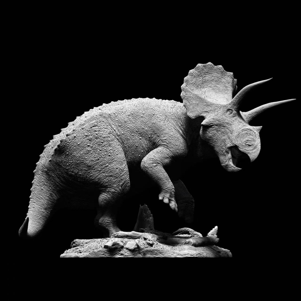 eotriceratops-xerinsularis-collector-statue-back.jpg
