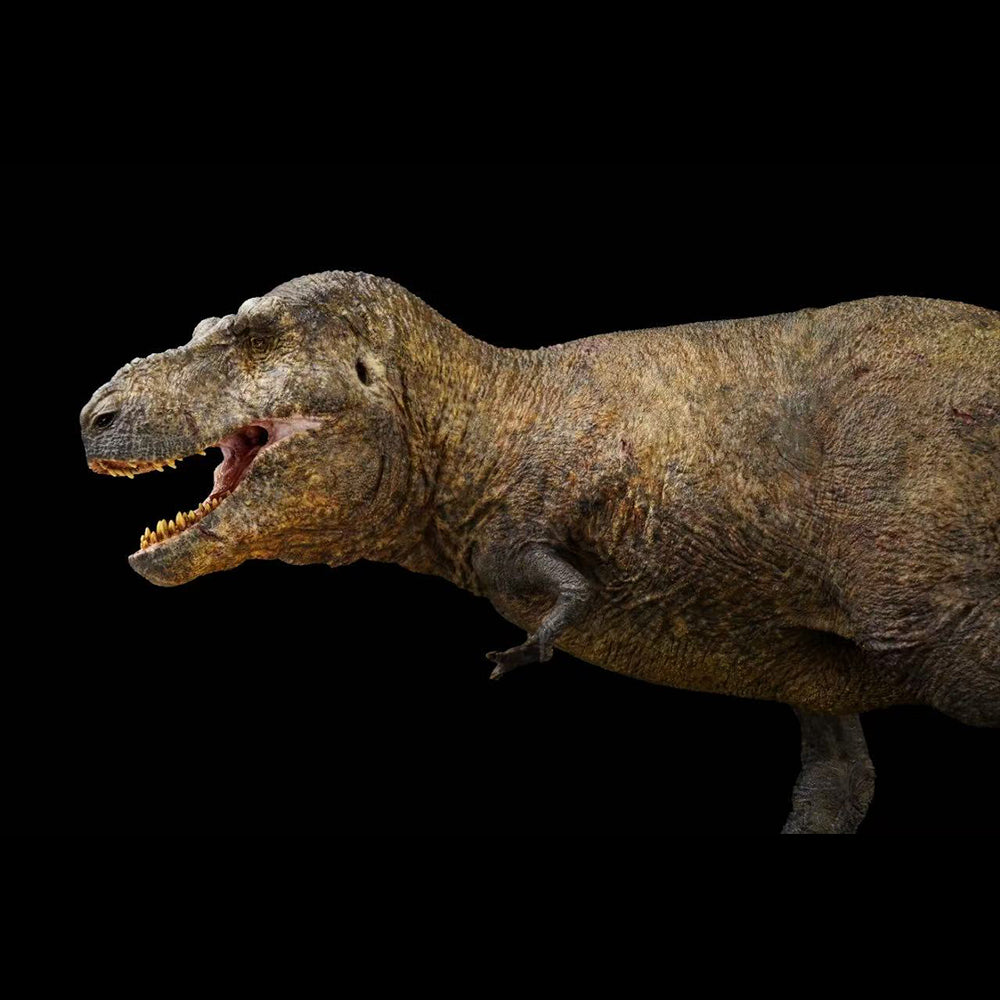 Tyrannosaurus Sue Model Resin Kit  1:18 1:35 Scale  Jacob Baardses